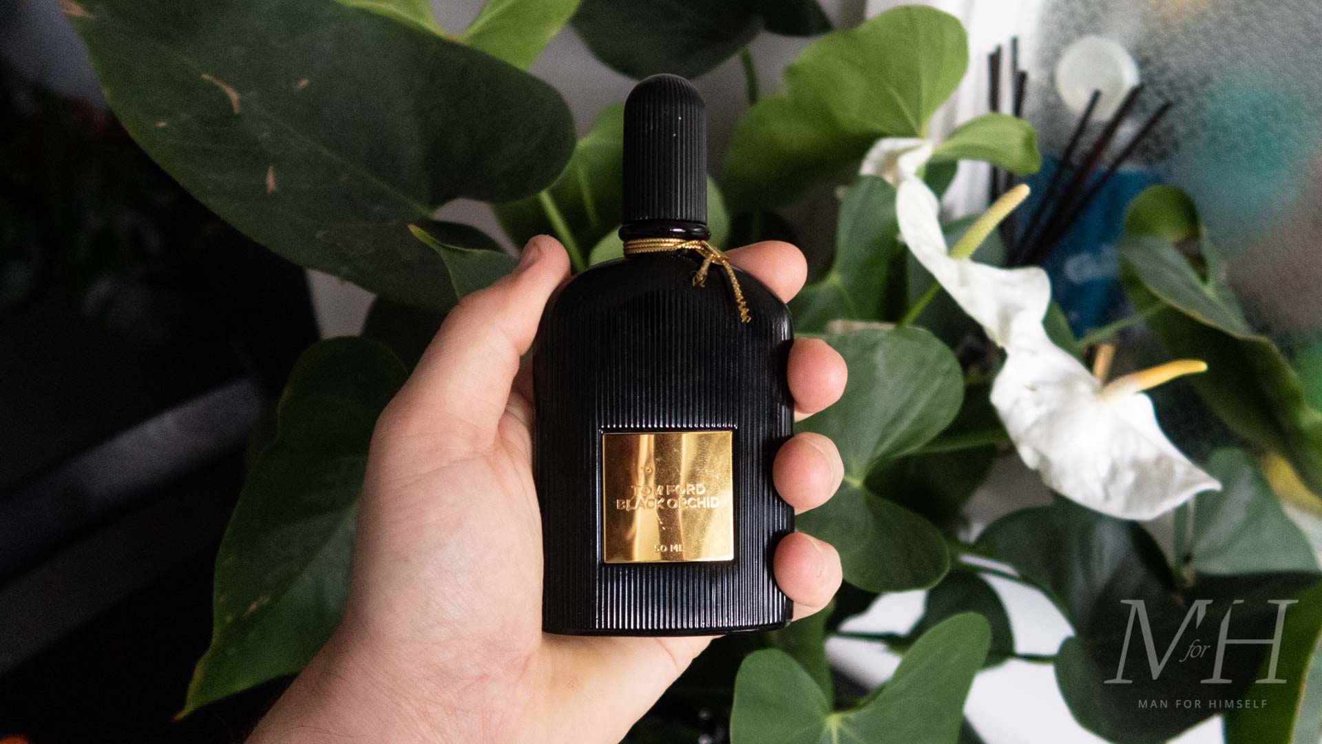 عطرهای یونیسکس